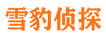 鼎城侦探公司